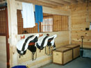 Inside Stable